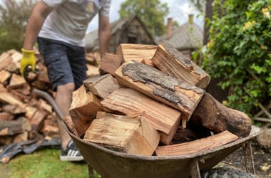 Thumbnail for 6834330