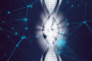 Thumbnail for 6834342