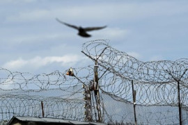 Thumbnail for 6834412