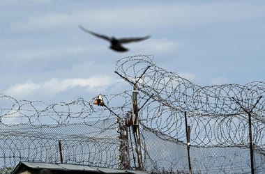 Thumbnail for 6834412