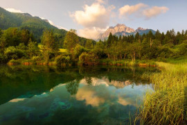 Thumbnail for 6834490