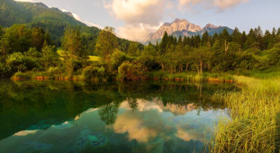 Thumbnail for 6834490