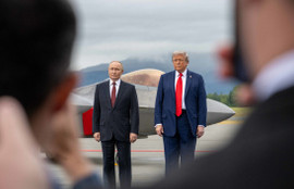 Thumbnail for 6834526