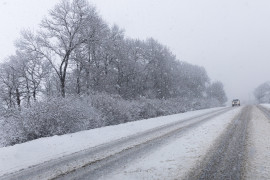 Thumbnail for 6834584