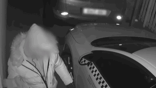 Thumbnail for 6834813