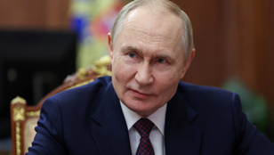 Thumbnail for 6834833