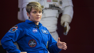 Thumbnail for 6834839