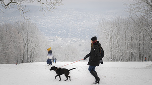 Thumbnail for 6834855