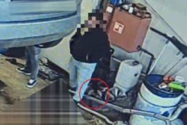 Thumbnail for 6834933