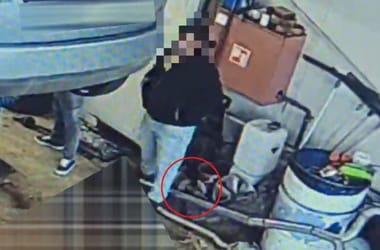 Thumbnail for 6834933