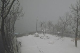 Thumbnail for 6834939