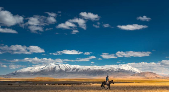 Thumbnail for 6835047