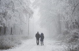 Thumbnail for 6835071