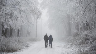 Thumbnail for 6835071