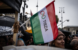 Thumbnail for 6835141