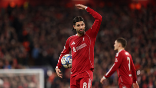 Thumbnail for 6835157