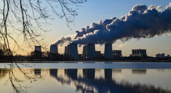 Thumbnail for 6835163