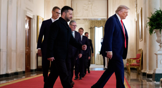 Thumbnail for 6835271