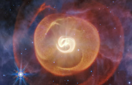 Thumbnail for 6835435