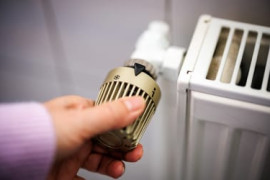 Thumbnail for 6835531