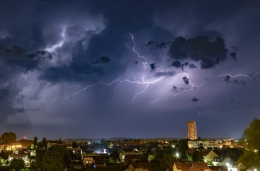 Thumbnail for 6835575