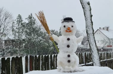 Thumbnail for 6835666