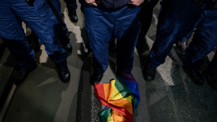 Thumbnail for 6835794