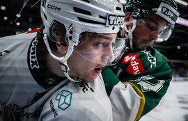 Thumbnail for 6835912