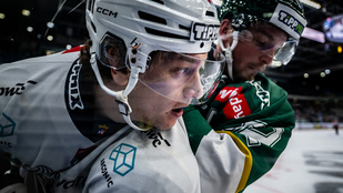 Thumbnail for 6835912