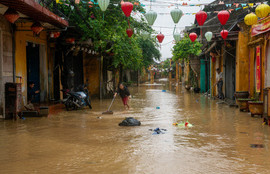 Thumbnail for 6836002