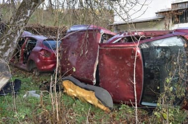 Thumbnail for 6836020