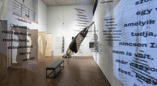 Thumbnail for 6836042