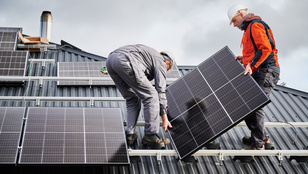 Thumbnail for 6836116