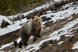 Thumbnail for 6836181