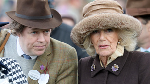 Thumbnail for 6836184