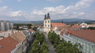 Thumbnail for 6836201