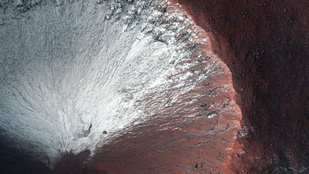 Thumbnail for 6836290