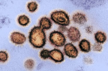 Thumbnail for 6836303