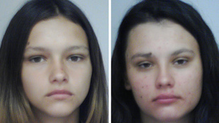 Thumbnail for 6836686