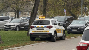 Thumbnail for 6837002