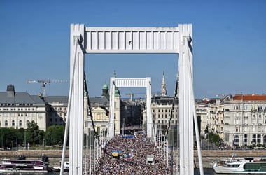 Thumbnail for 6837022