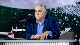 Thumbnail for 6837164