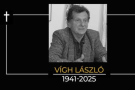 Thumbnail for 6837168