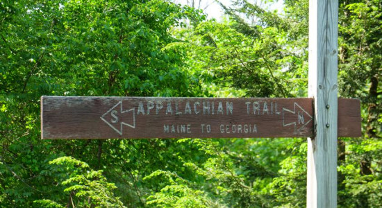 Thumbnail for 6837257