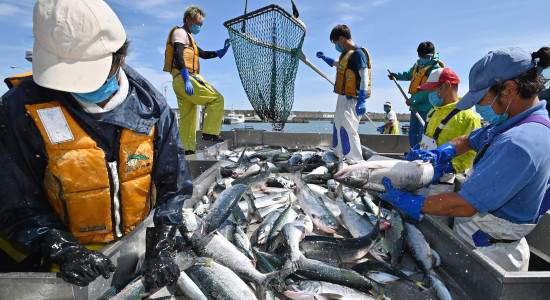 Thumbnail for 6837325