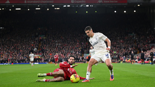 Thumbnail for 6837450