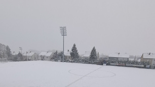 Thumbnail for 6837526