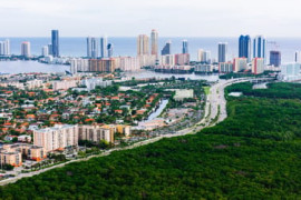 Thumbnail for 6837559