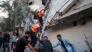 Thumbnail for 6837567