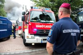 Thumbnail for 6837648